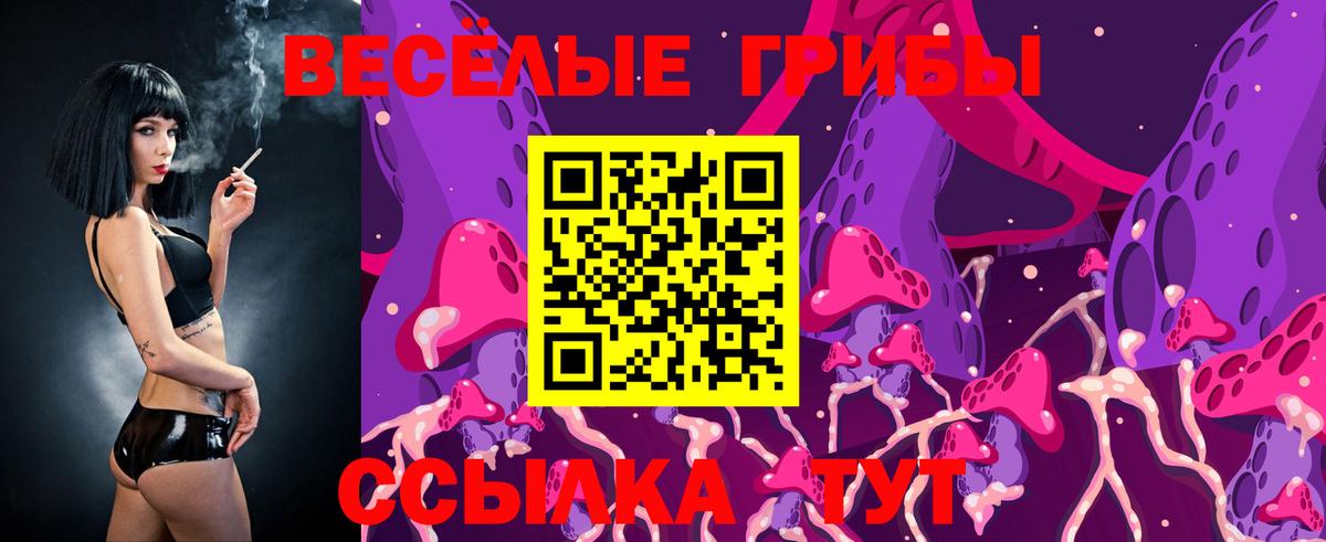 Галлюциногенные грибы Cubensis  Вход с VPN  Сызрань 